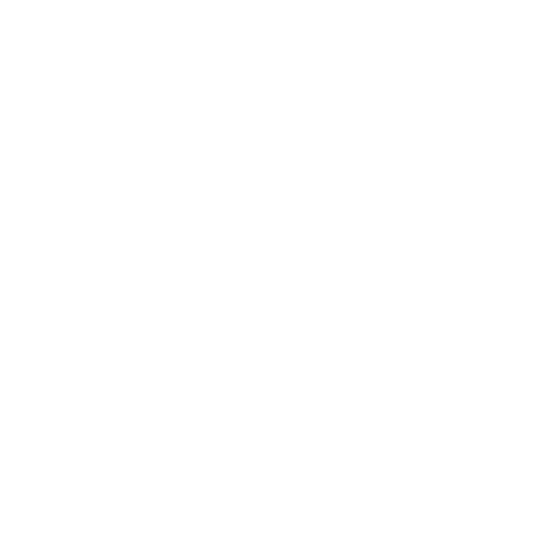 RivWise